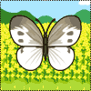 V`E
