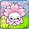 炤